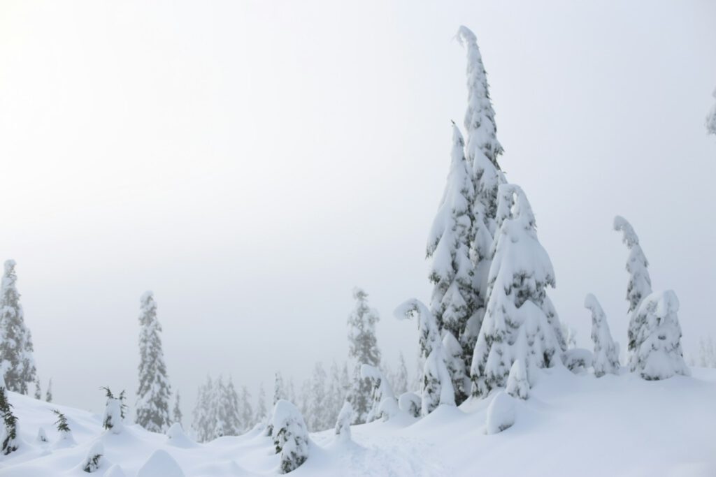 A man riding skis down a snow covered slope