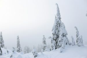 A man riding skis down a snow covered slope